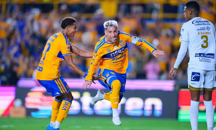 tigres 02.jpg